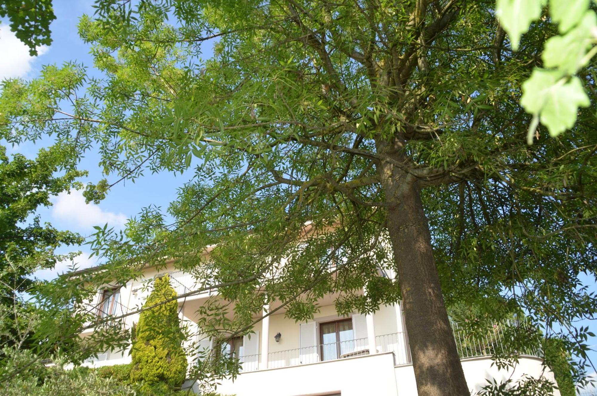 Villa Patrizia Moncalvo Eksteriør billede